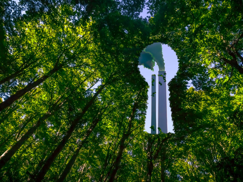 Factory smoke stacks seen through forest trees